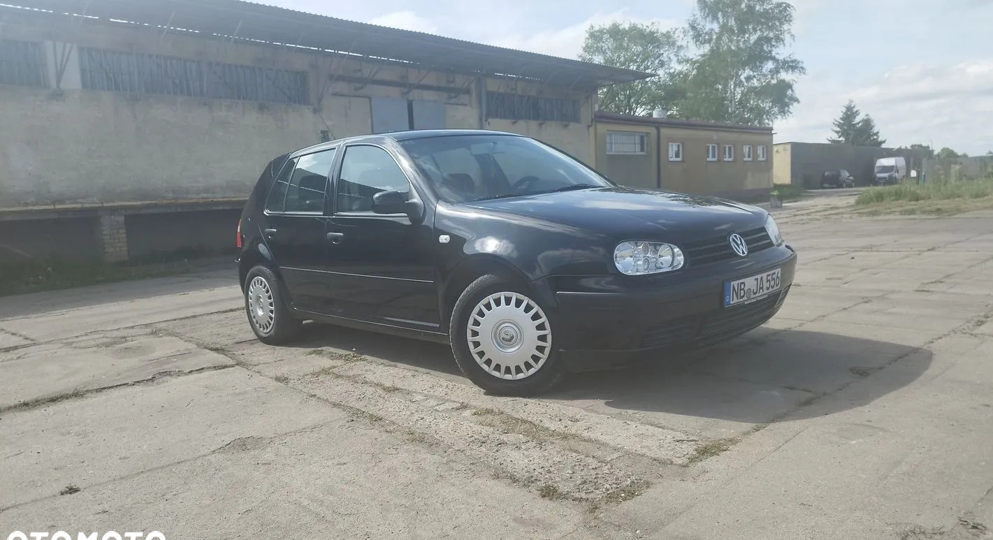 Volkswagen Golf cena 7900 przebieg: 159646, rok produkcji 2002 z Piwniczna-Zdrój małe 529